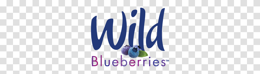 Graphic Resources Wild Blueberries Canada, Plant, Poster, Blueberry Transparent Png