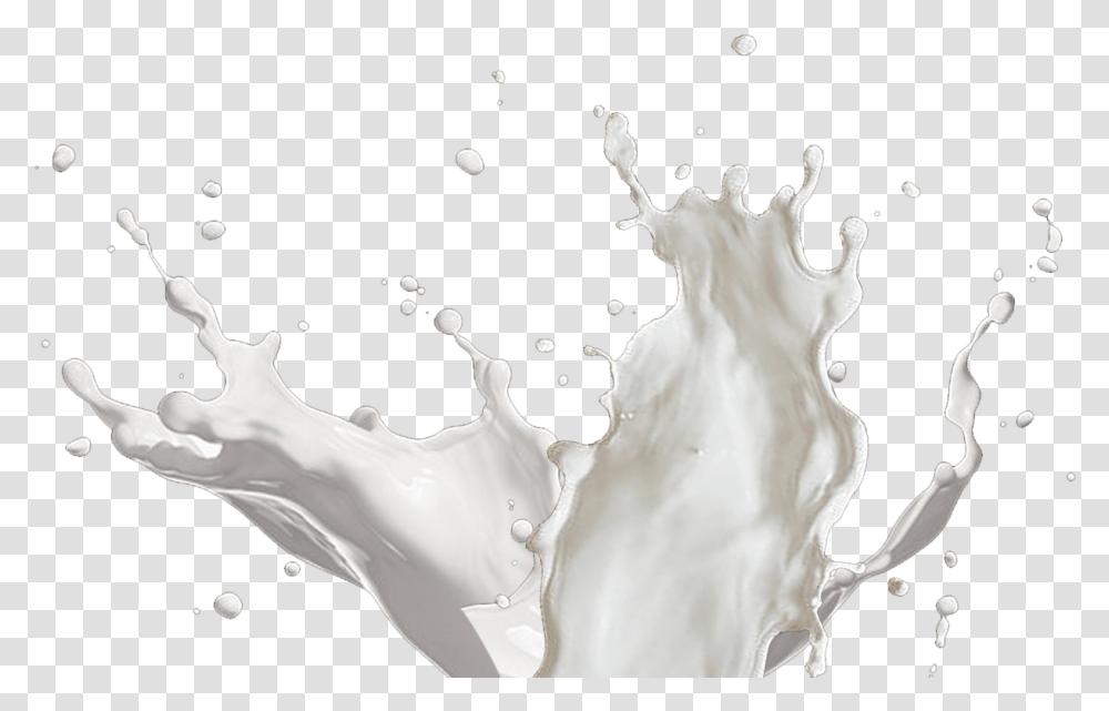 Graphic Royalty Free Library Best United Shakes Milk Splash, Beverage, Drink, Dairy, Person Transparent Png