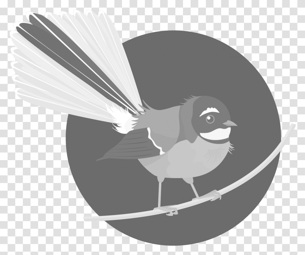 Graphics Bird Icons Grey Set 1 Datasets Datagovtnz Old World Flycatchers, Animal, Wren, Swallow, Blackbird Transparent Png
