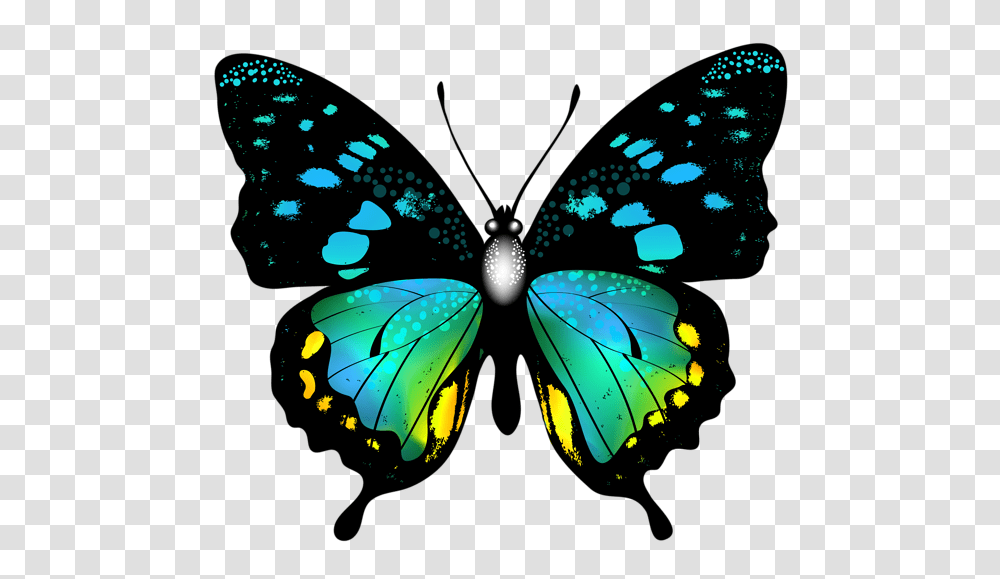 Graphics Butterfly Art, Ornament, Pattern, Fractal, Animal Transparent Png
