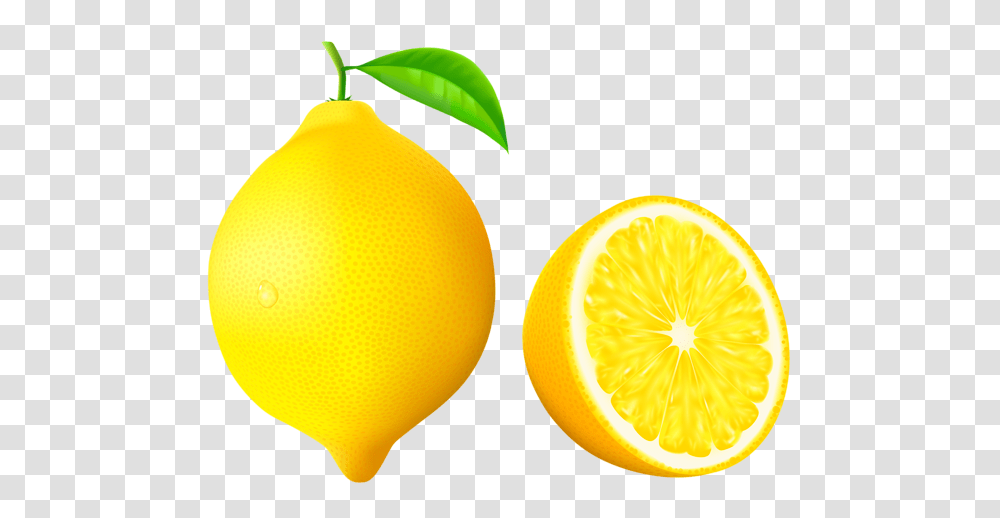 Graphics Clip Art Lemon And Art, Plant, Citrus Fruit, Food, Produce Transparent Png