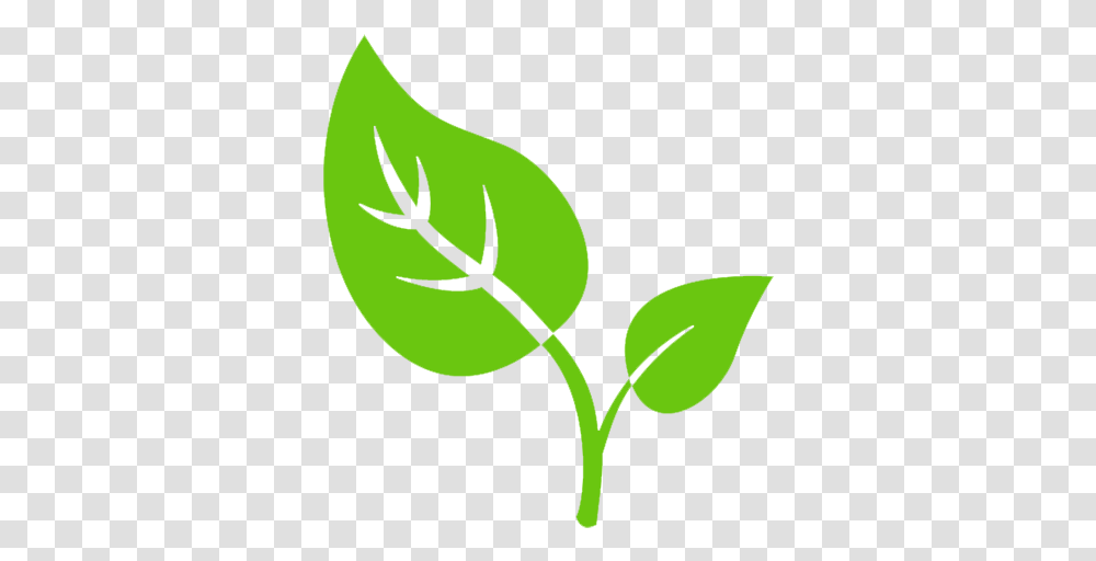 Graphics For Tobacco Leaf Graphics, Green, Plant, Tennis Ball, Sport Transparent Png
