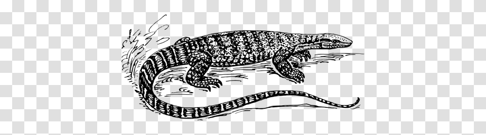 Graphics Of Black And White Lizard In Nature Monitor Lizard Black And White, Gray, World Of Warcraft Transparent Png
