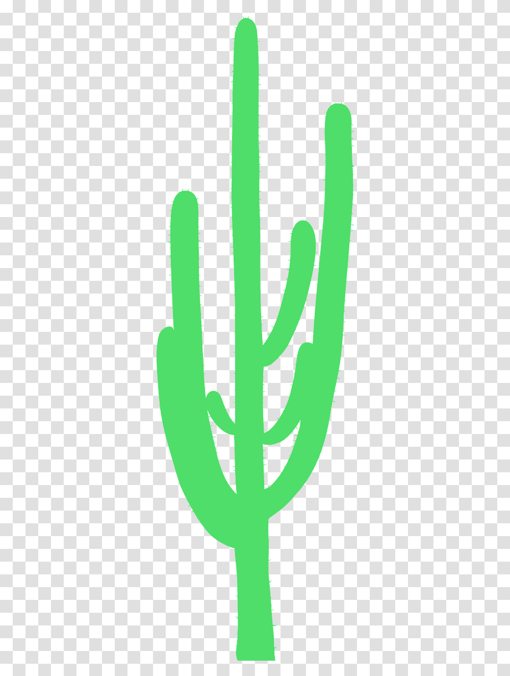 Graphics, Plant, Aloe, Cactus, Vegetation Transparent Png