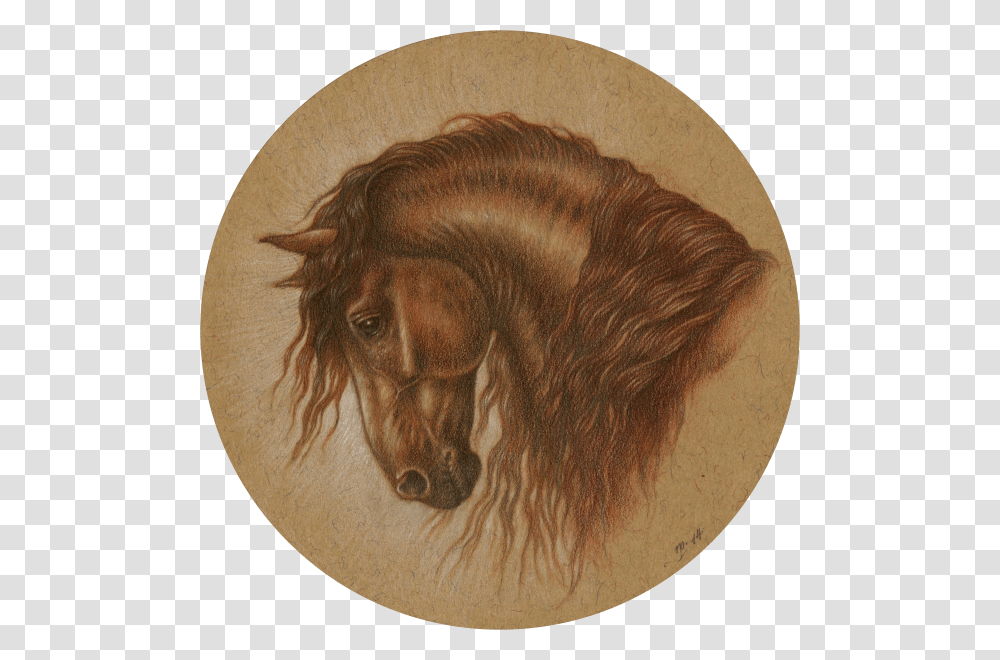 Graphite And Coloured Pencils With Touches Of Sepia Stallion, Dog, Pet, Canine, Animal Transparent Png