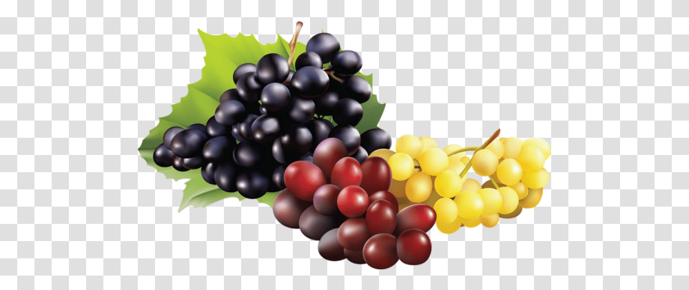 Grappe De Raisin 4 Image Raisin, Plant, Grapes, Fruit, Food Transparent Png