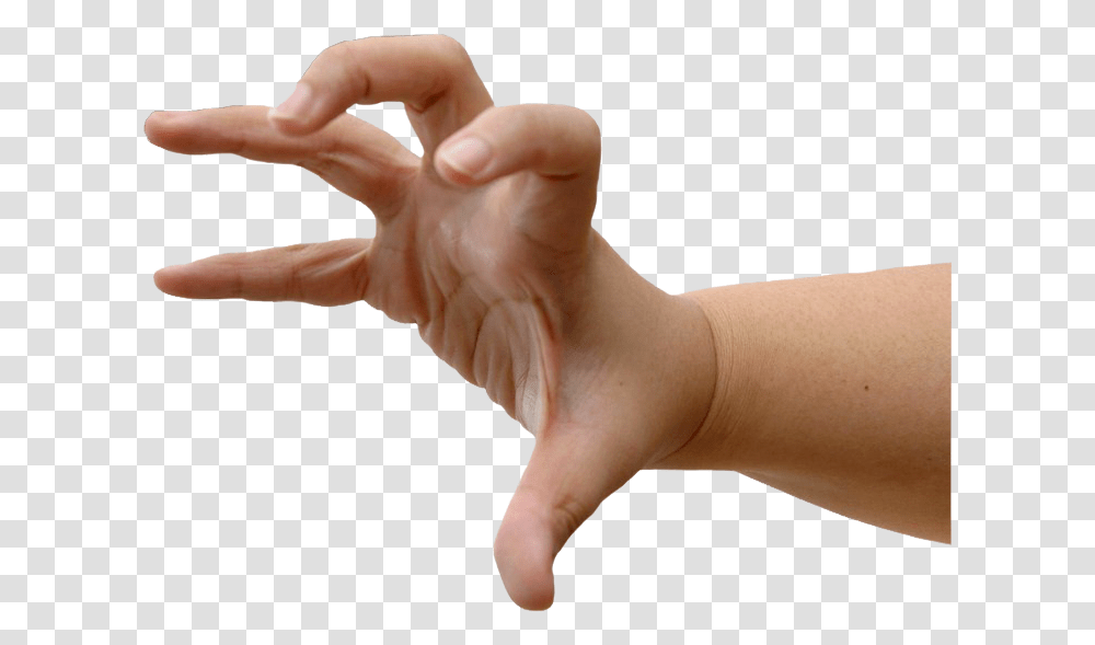 Grasping Hand, Person, Human, Wrist, Finger Transparent Png