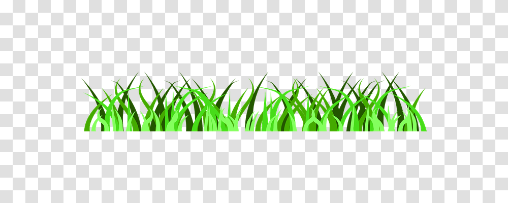 Grass Nature, Plant, Green, Vegetation Transparent Png