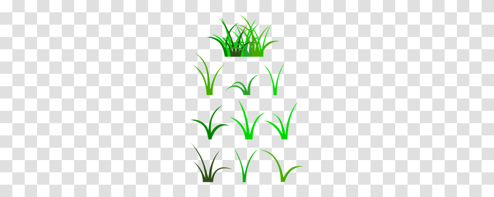 Grass Nature, Plant Transparent Png