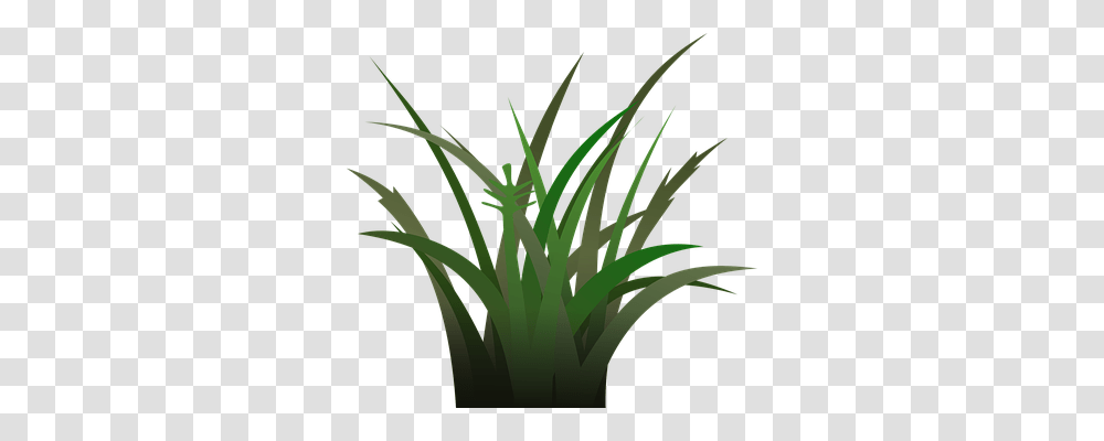 Grass Nature, Plant, Produce, Food Transparent Png