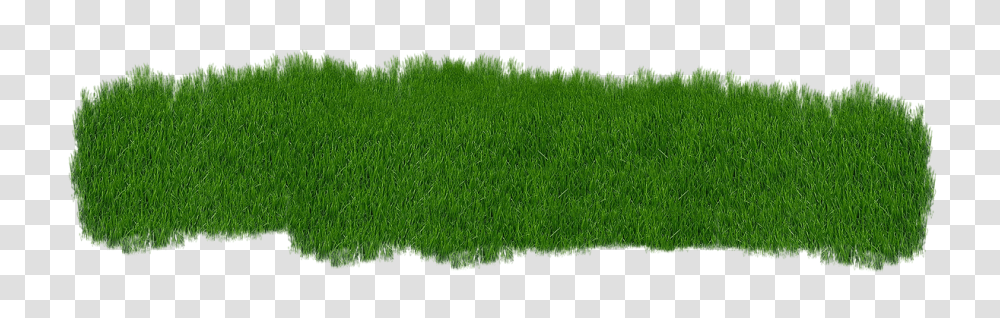 Grass Nature, Plant, Lawn, Green Transparent Png