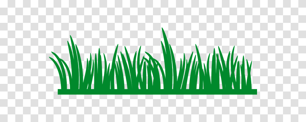 Grass Nature, Plant, Green, Lawn Transparent Png