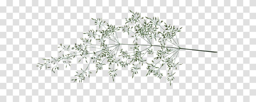 Grass Nature, Plant, Food, Cross Transparent Png