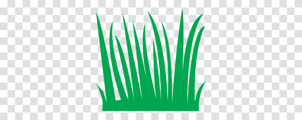 Grass Nature, Plant, Leaf, Word Transparent Png