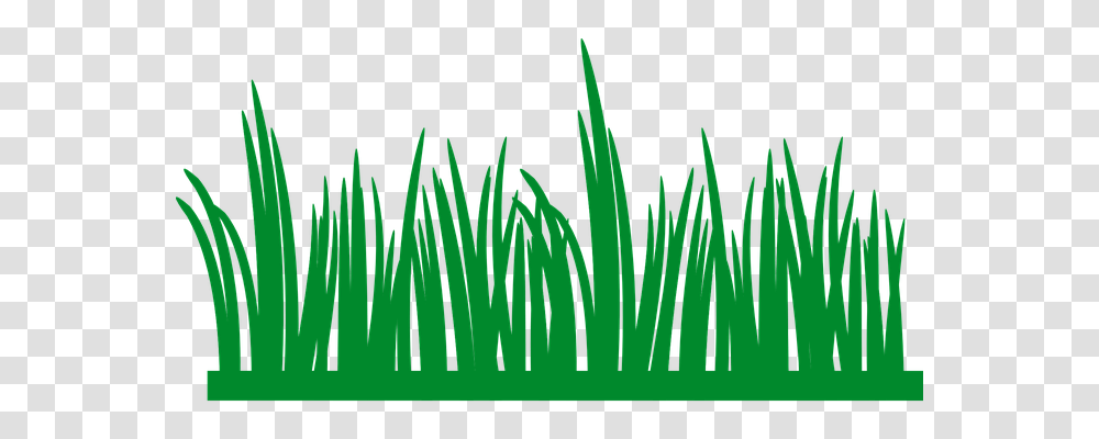 Grass Nature, Plant, Lawn, Vegetation Transparent Png