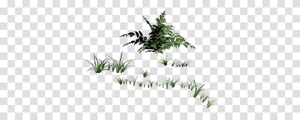 Grass Nature, Potted Plant, Vase, Jar Transparent Png