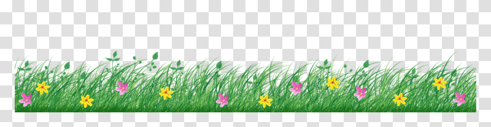 Grass 960, Plant, Petal, Flower, Vegetation Transparent Png