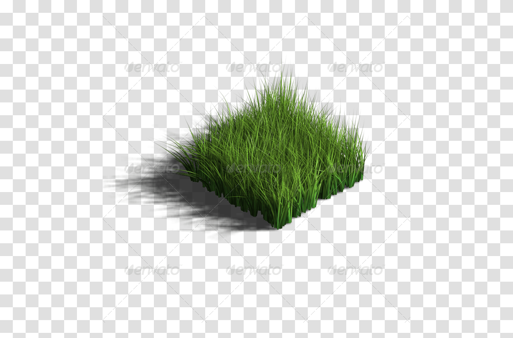 Grass 3d Model, Plant, Seasoning, Food, Bow Transparent Png
