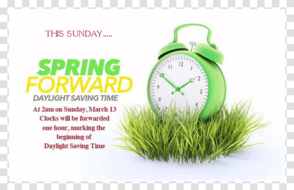 Grass, Analog Clock, Alarm Clock, Plant, Dynamite Transparent Png