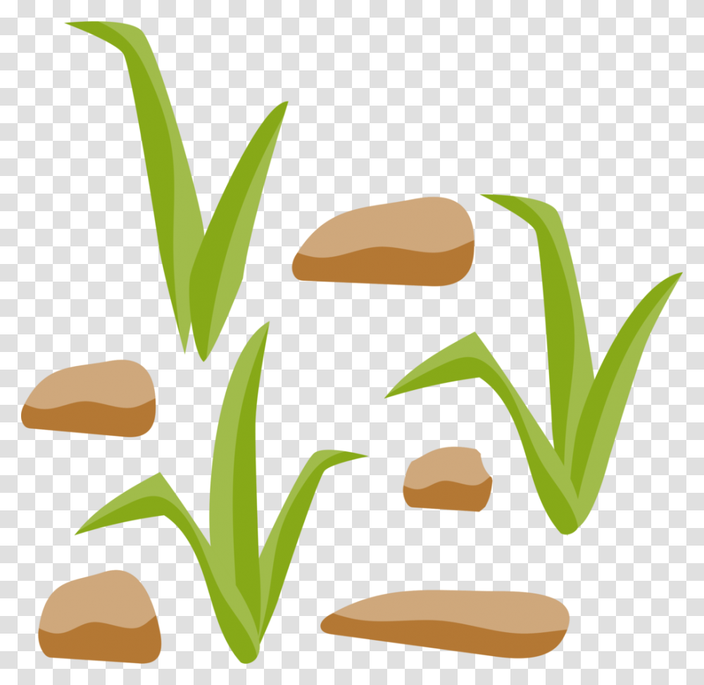 Grass And Rocks Vector Clipart Of Winging, Plant, Vegetable, Food, Produce Transparent Png