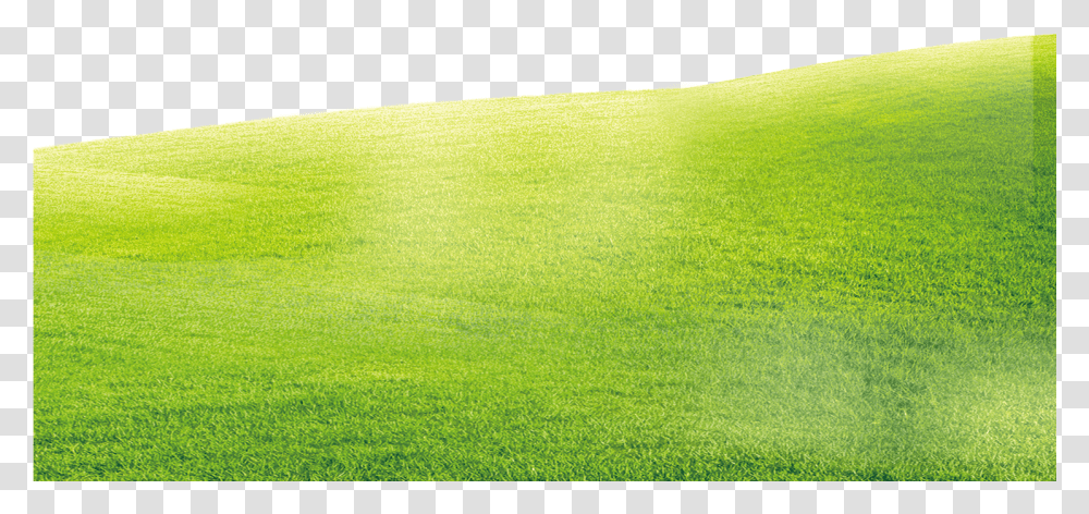 Grass Background Lawn, Plant, Rug, Field, Green Transparent Png