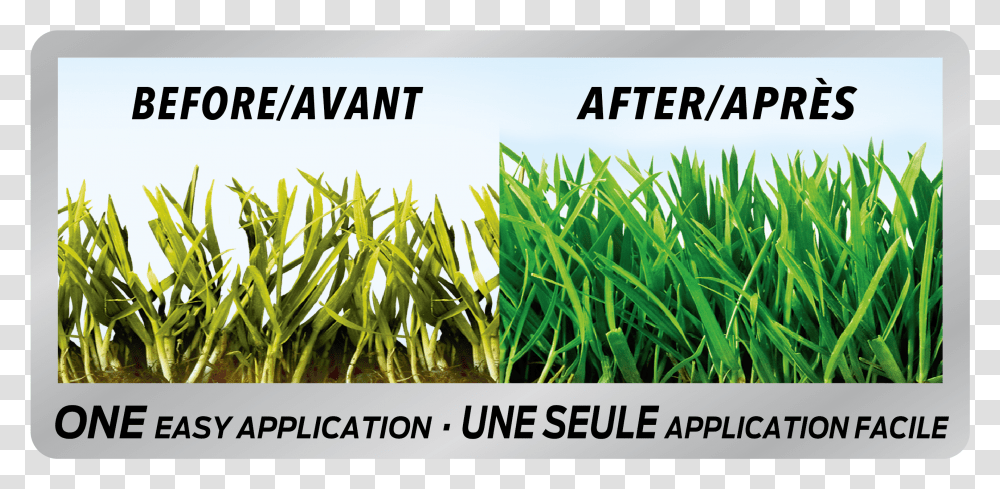 Grass Before And After Fertilizer, Plant, Produce, Food, Vegetable Transparent Png