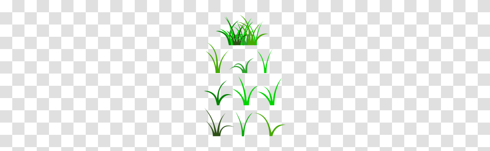 Grass Blade Clip Art, Plant, Green, Floral Design Transparent Png