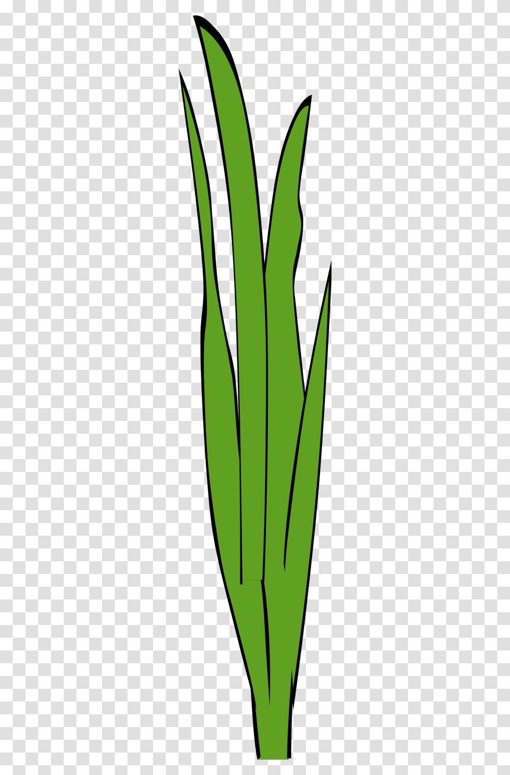 Grass Blade Clip Art, Plant, Green, Leaf, Flower Transparent Png