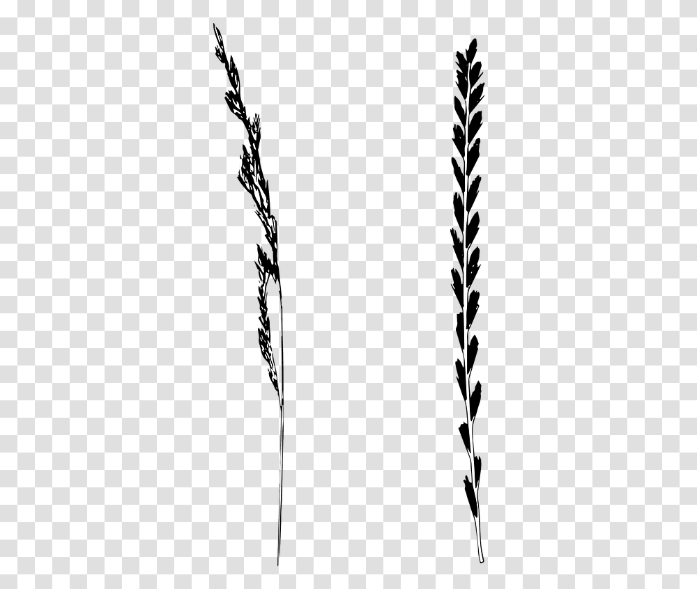 Grass Blade Illustration, Nature, Outdoors, Ice, Plant Transparent Png