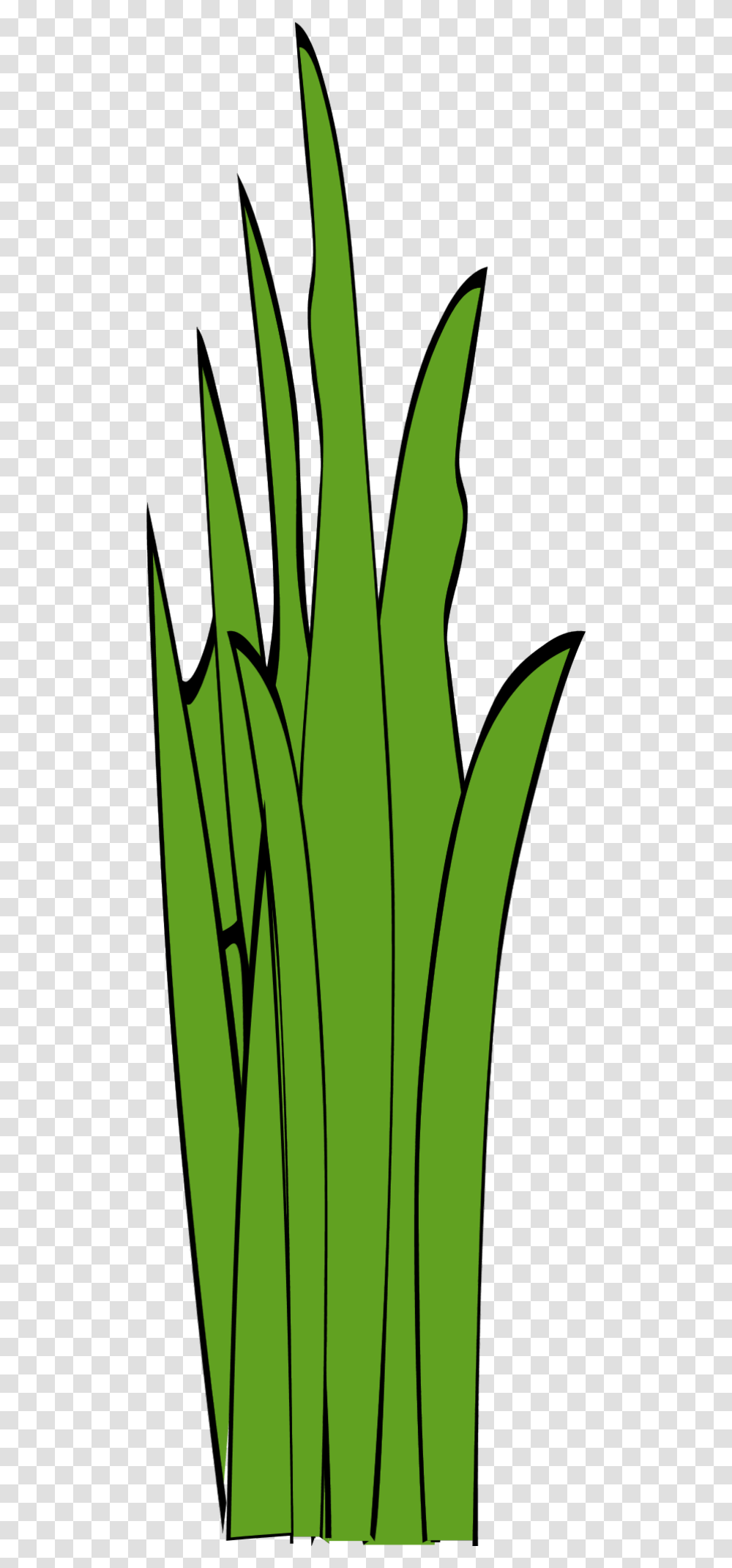 Grass Blades And Clumps Long Grass Clipart, Plant, Produce, Food, Vegetable Transparent Png