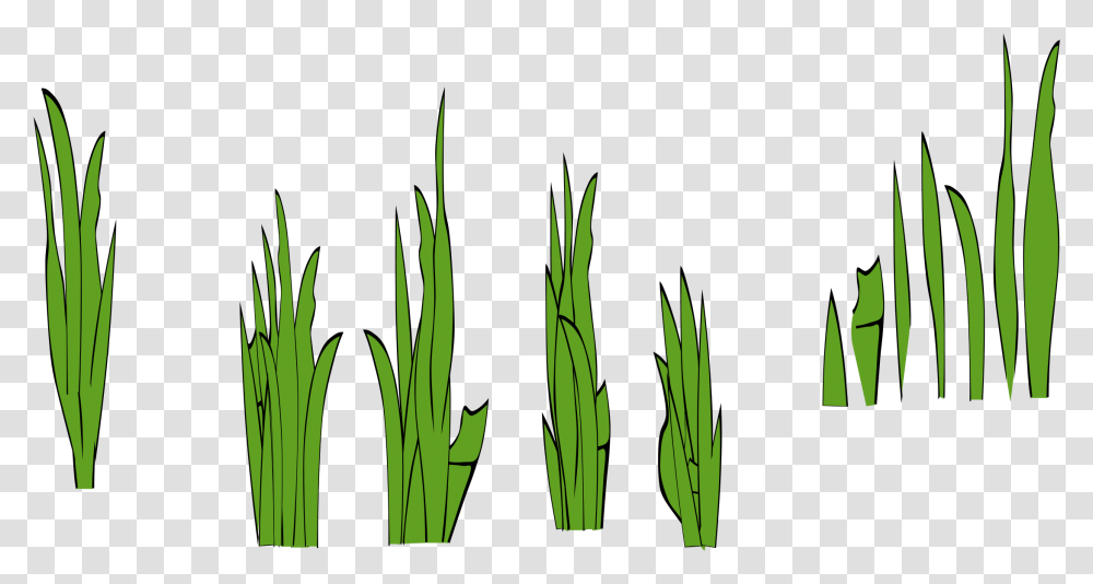 Grass Blades Grass Clip Art, Plant, Flower, Food, Iris Transparent Png