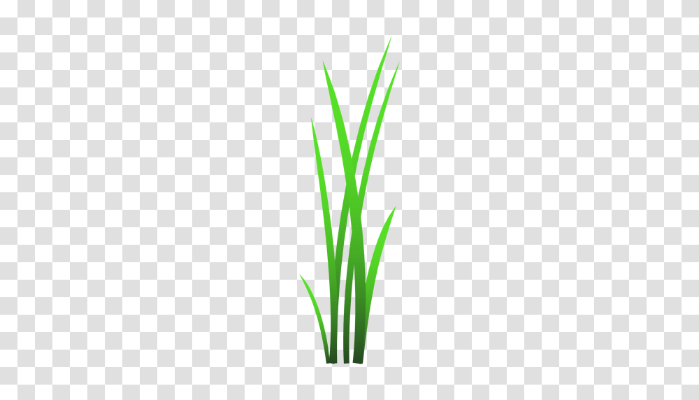 Grass Blades Illustration, Plant, Produce, Food, Vegetable Transparent Png