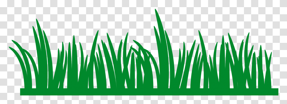 Grass Border Clip Art Outline Grass Clipart, Plant, Vegetation, Flower, Potted Plant Transparent Png