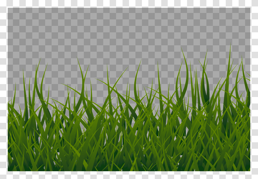 Grass Border Clipart, Plant, Lawn, Green Transparent Png