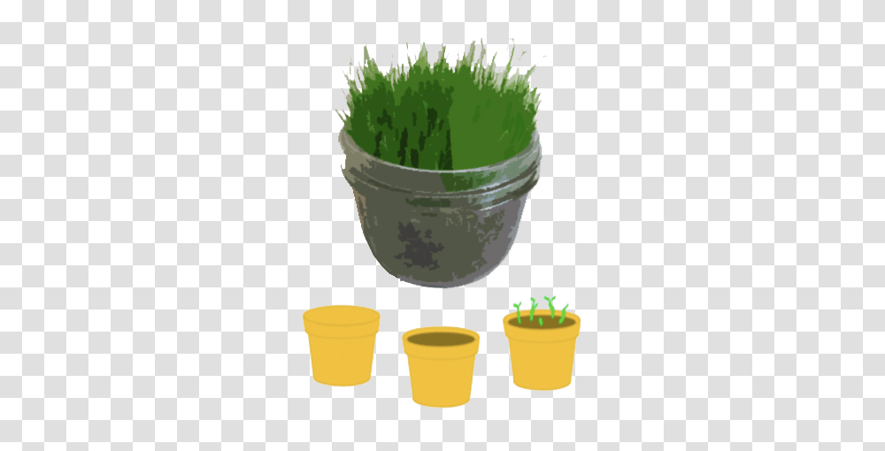 Grass, Bucket, Plant, Pot, Food Transparent Png