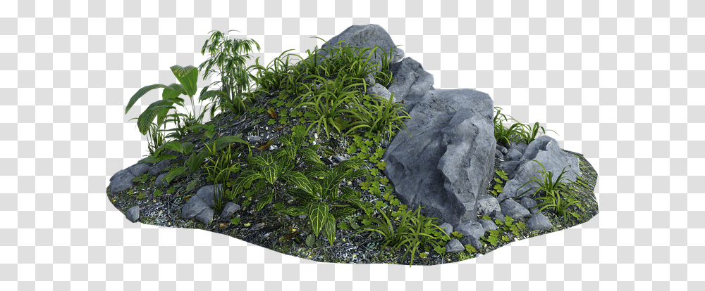 Grass, Bush, Vegetation, Plant, Slate Transparent Png