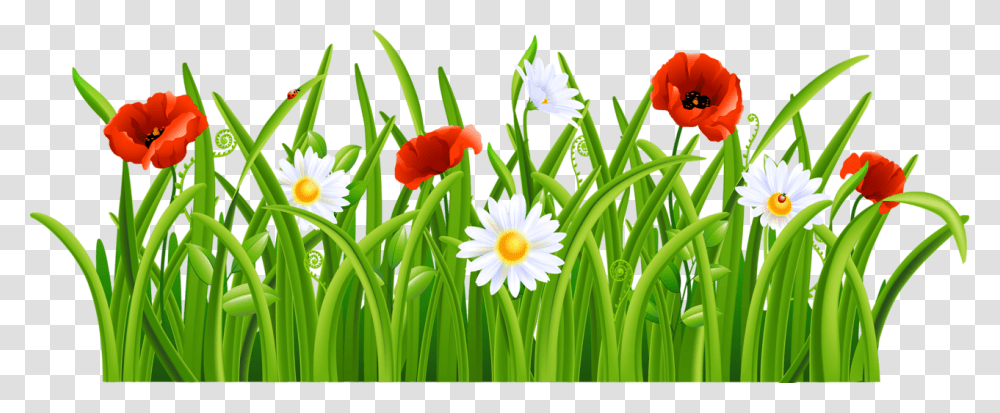 Grass Clip Art Flowers And Grass, Plant, Blossom, Petal, Spring Transparent Png