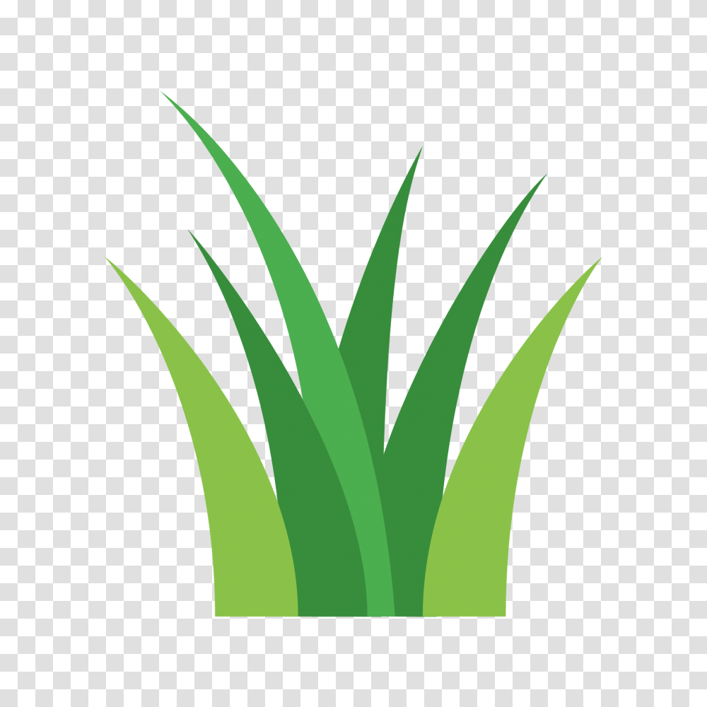 Grass Clip Art Free, Plant, Produce, Food, Vegetable Transparent Png