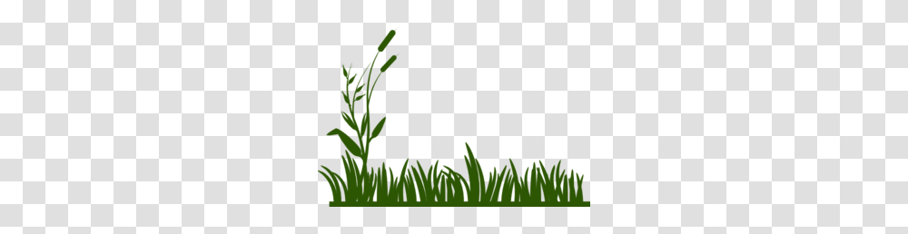 Grass Clip Art, Green, Plant, Leaf, Potted Plant Transparent Png