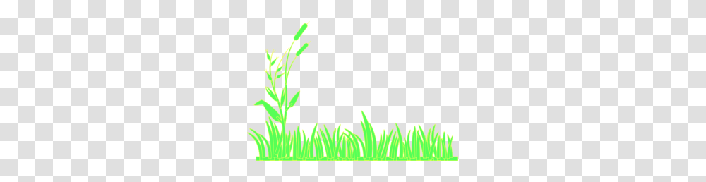 Grass Clip Art, Plant, Flower, Animal, Green Transparent Png