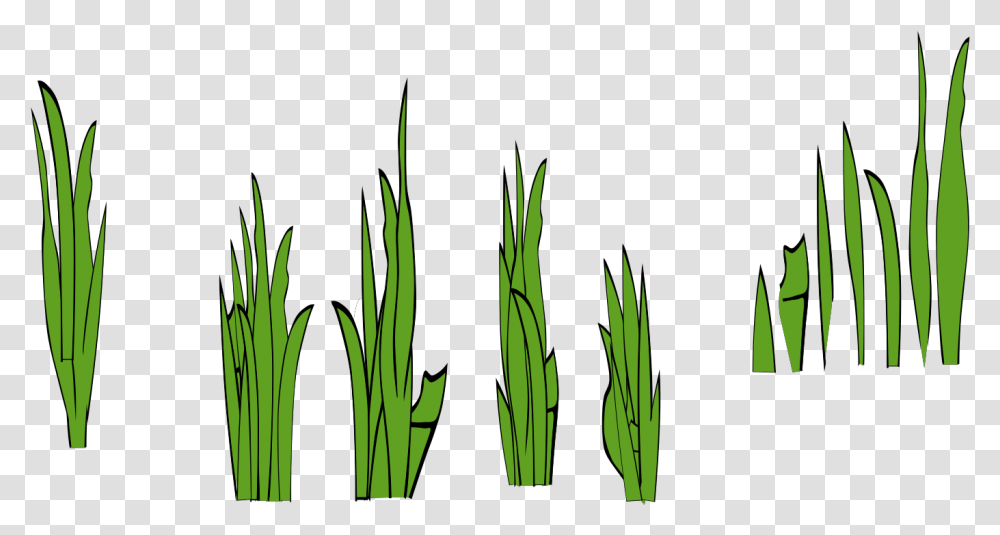 Grass Clip Art, Plant, Food, Produce, Vegetable Transparent Png