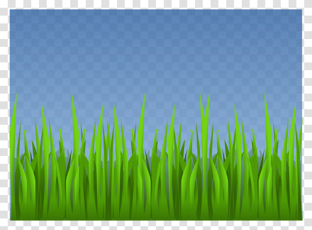 Grass Clip Art, Plant, Green, Lawn, Leaf Transparent Png