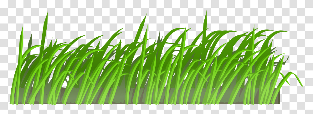 Grass Clip Art, Plant, Lawn, Green Transparent Png