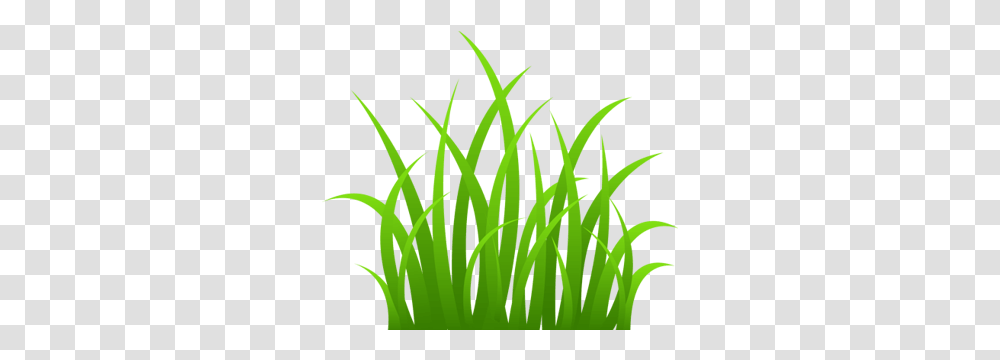 Grass Clip Art, Plant, Lawn, Vegetation, Bush Transparent Png
