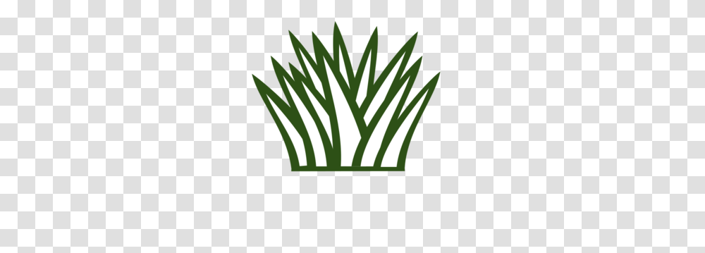 Grass Clip Art, Plant, Lighting, Flower, Blossom Transparent Png