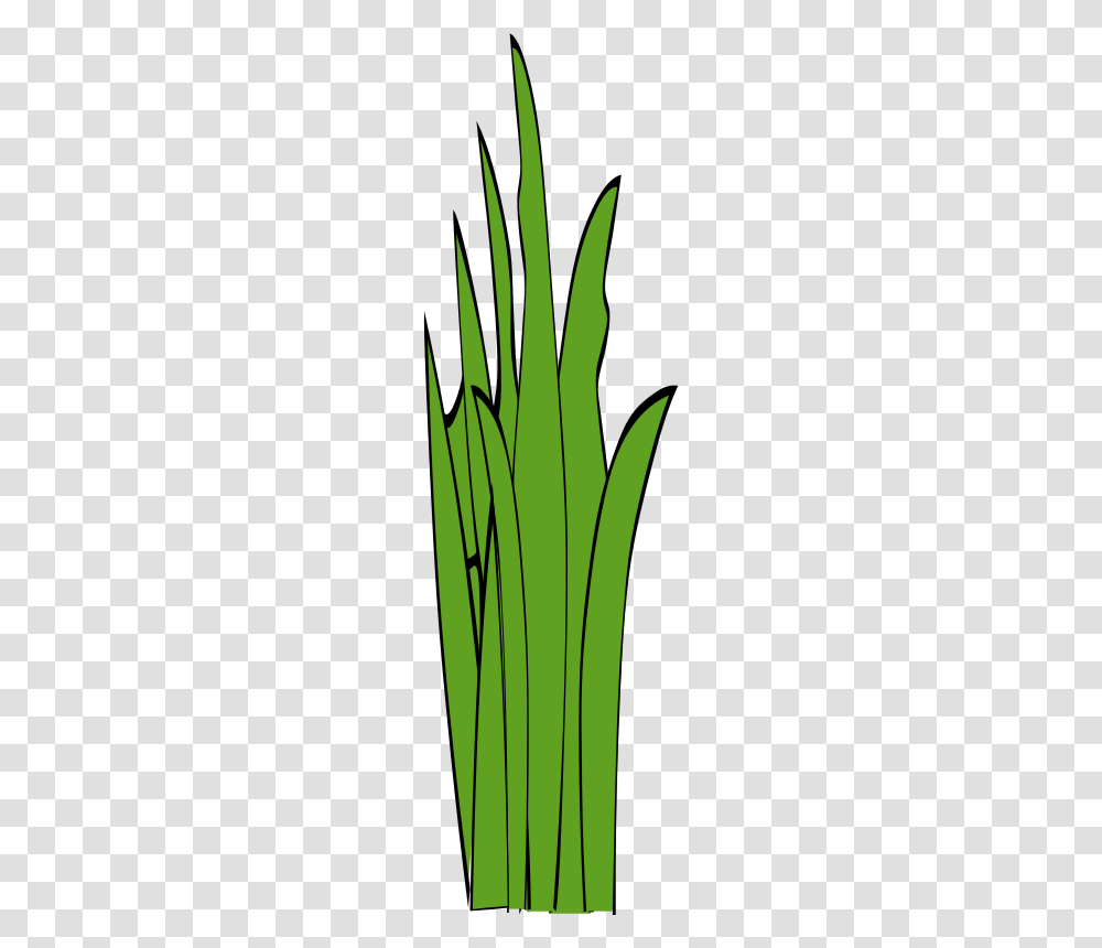 Grass Clip Art, Plant, Produce, Food, Flower Transparent Png