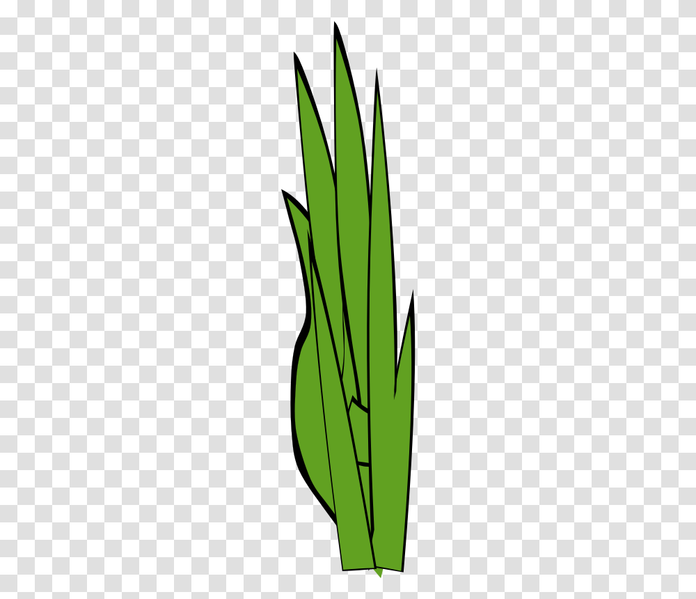 Grass Clip Art, Plant, Produce, Food, Vegetable Transparent Png