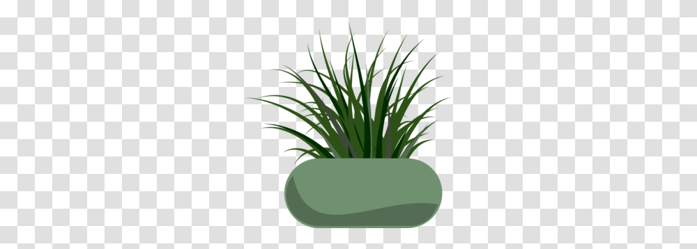 Grass Clip Art, Plant, Produce, Food, Vegetation Transparent Png