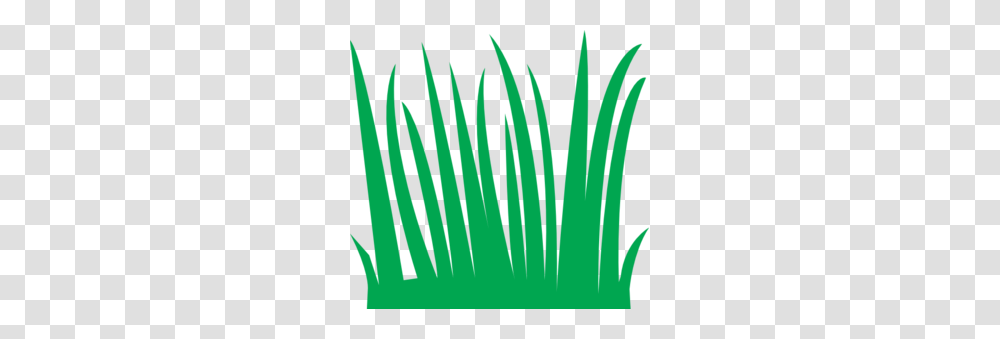 Grass Clip Art, Plant, Tree, Green, Word Transparent Png