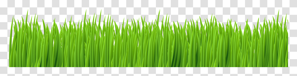 Grass Clip Art Transparent Png